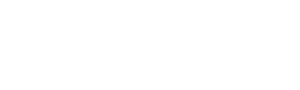 Logo VirtualNet Telecom versao clara